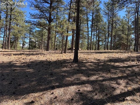 Unfinished Home on Mountain Property