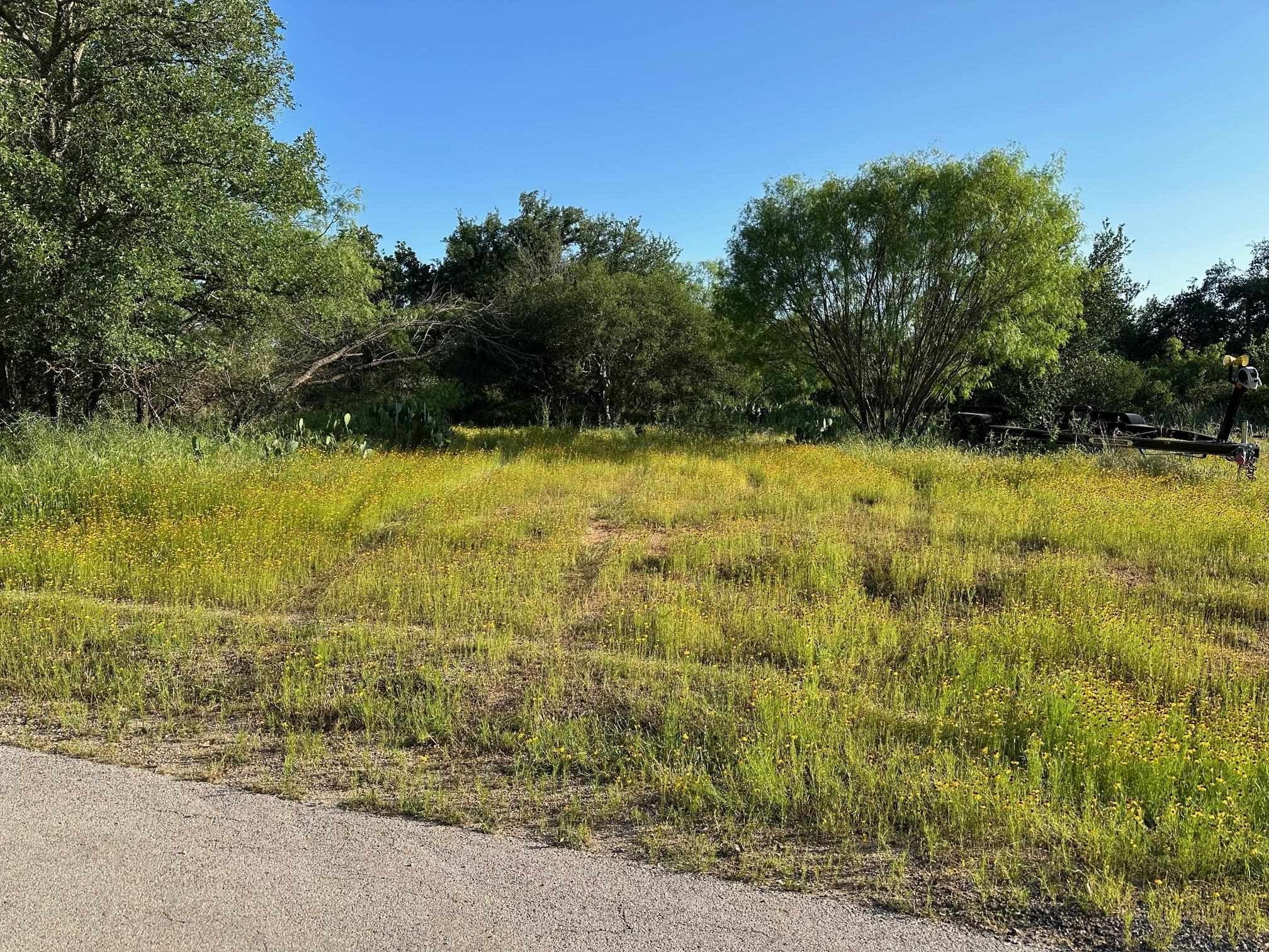 Land Near the Lake