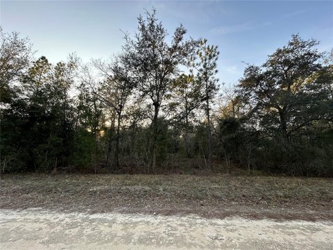One Acre Wooded Lot