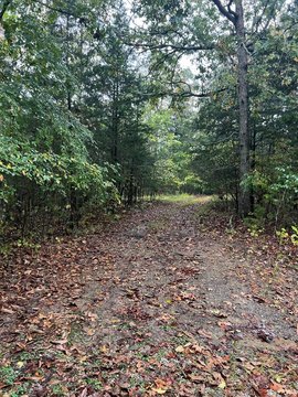 Secluded Wooded Acres Near Lake