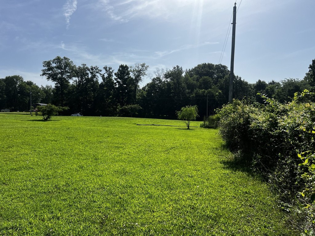 Picture 18