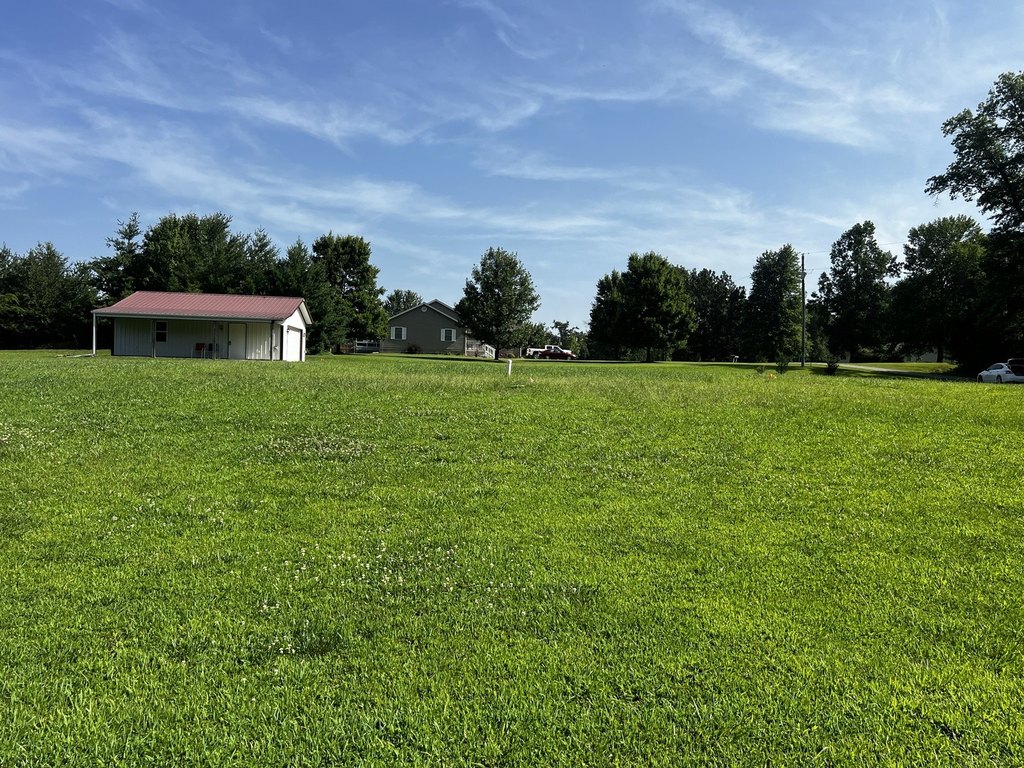 Picture 21