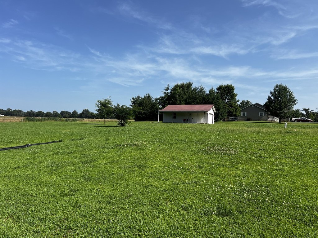 Picture 20