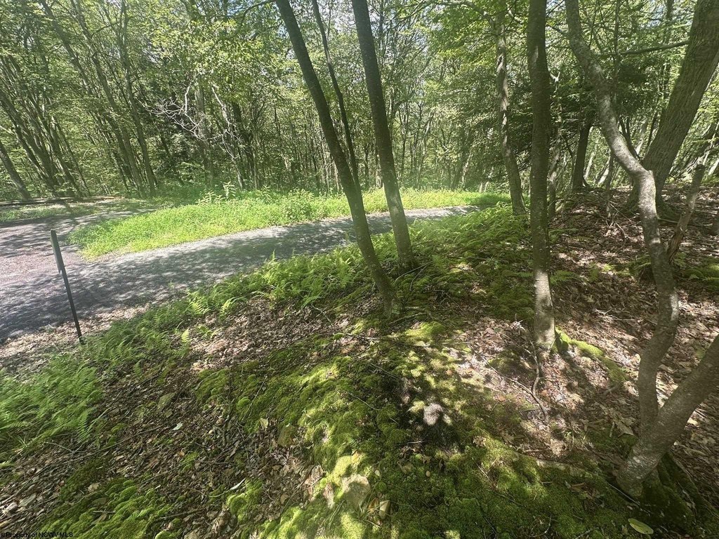 Picture 21