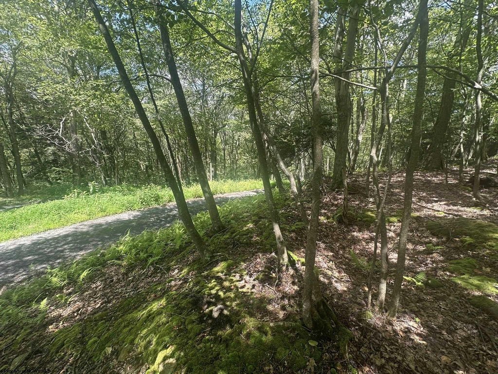 Picture 5