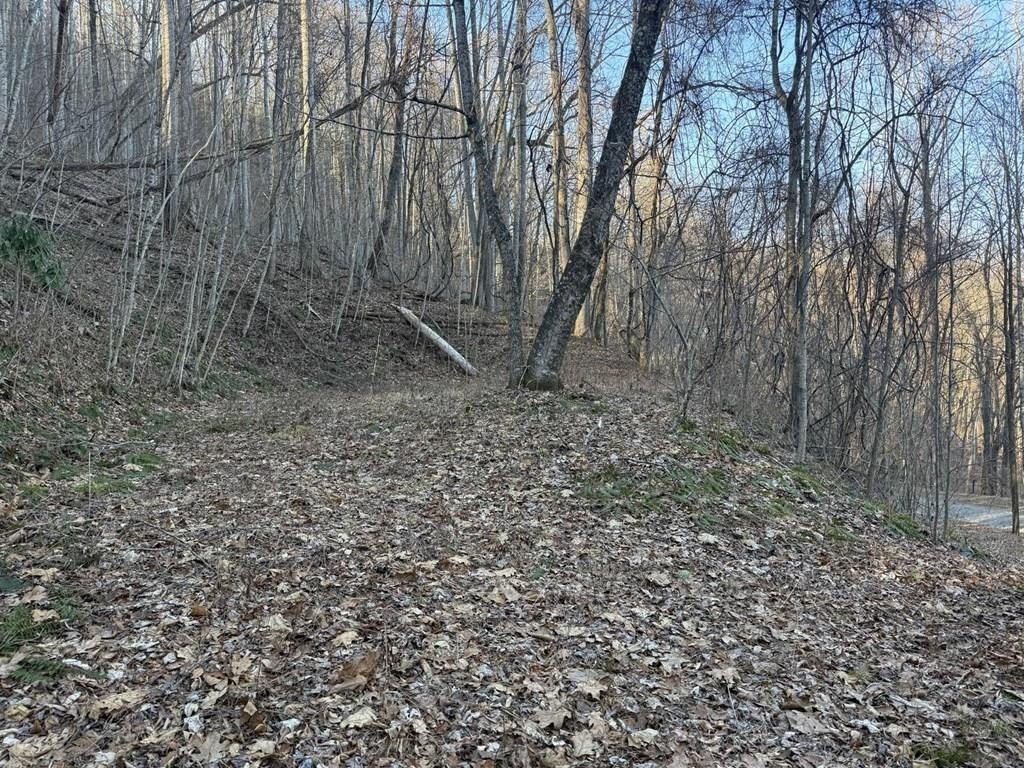 2 Acre Mountain View Homesite
