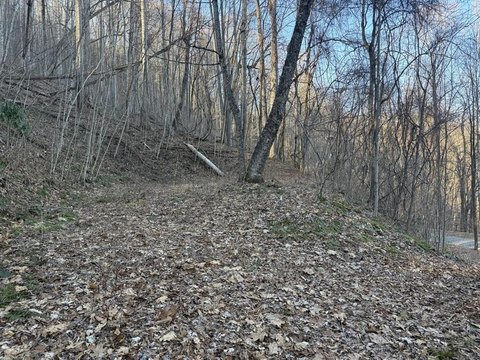 2 Acre Mountain View Homesite