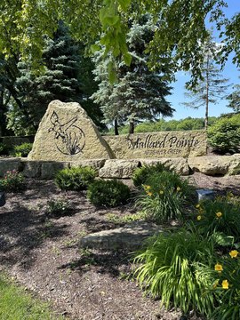 Belvidere Land for Sale