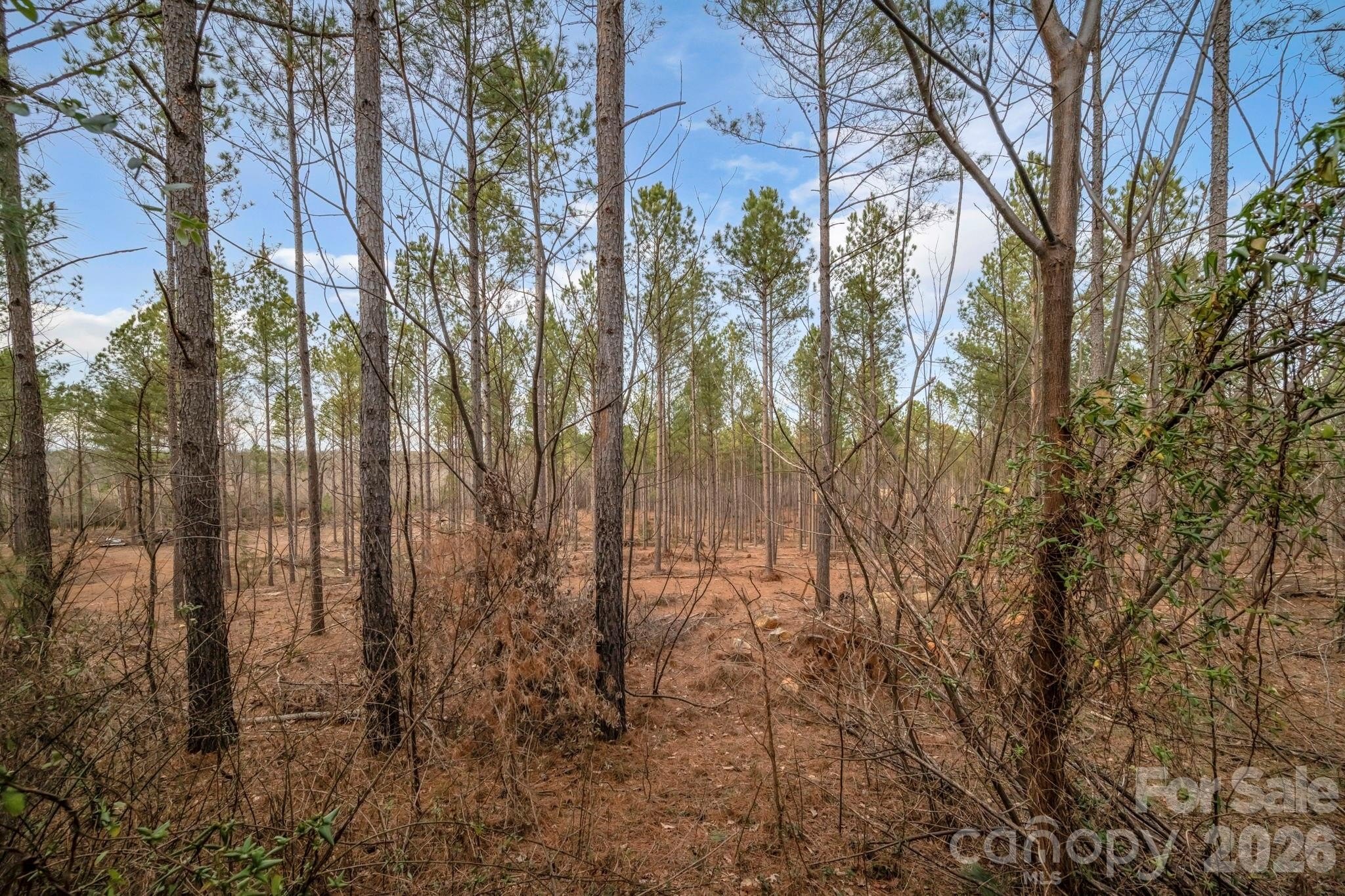 Marshville Land: Private Retreat Potential