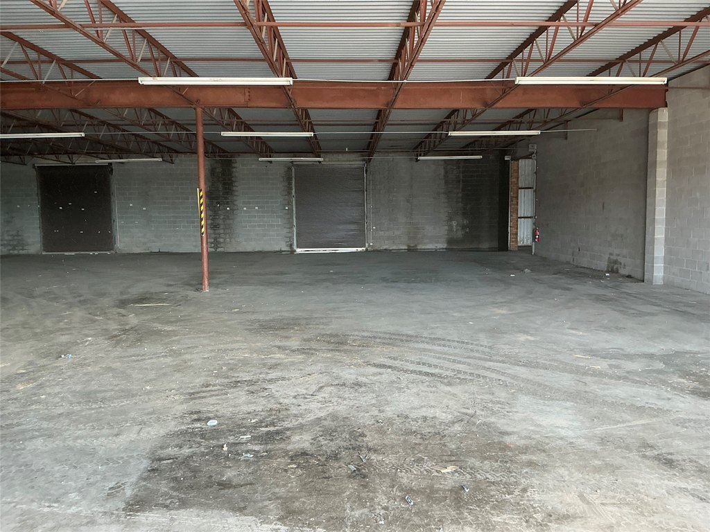 Picture 8