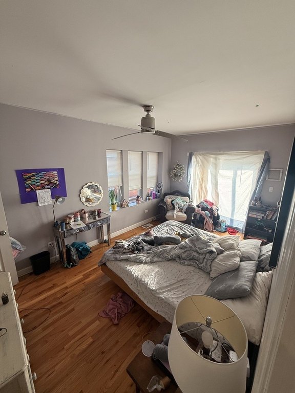 Picture 16