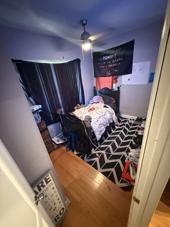 Picture 8