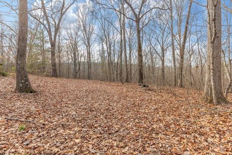 13 Acres Wooded Land Dalton