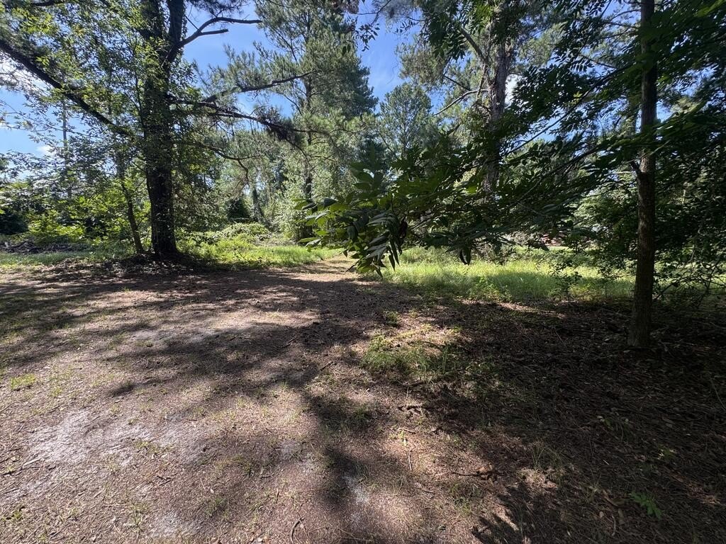Picture 19