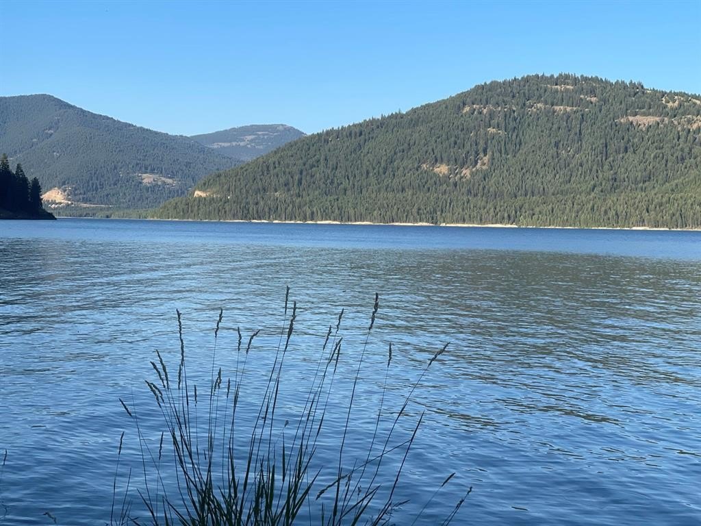 Picture 24