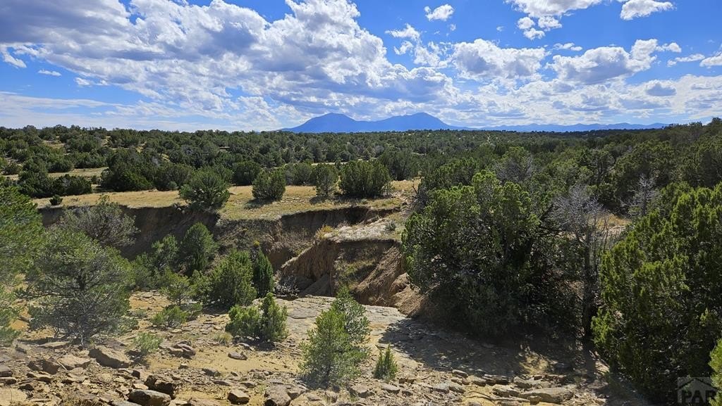 Land with Mountain Views