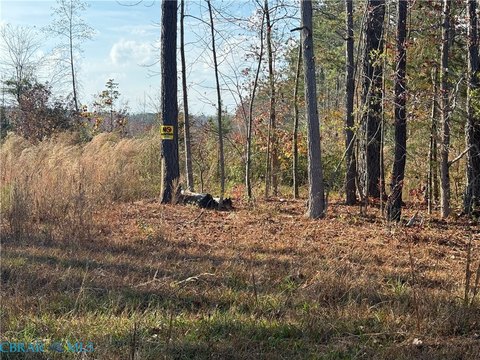 Crewe, VA Acreage for Sale