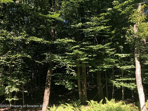 Residential Lot in Gated Community