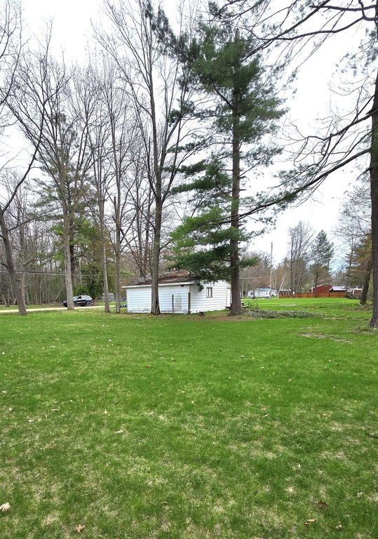 Picture 9