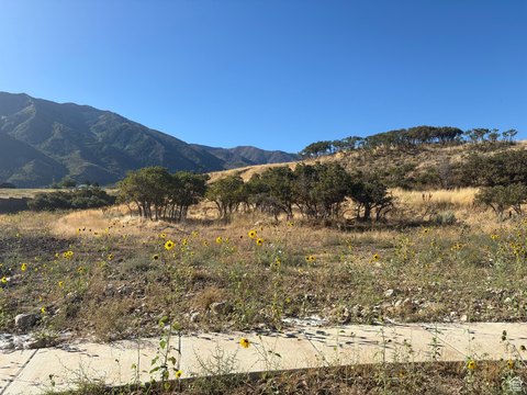 Residential Land in Salem, Utah