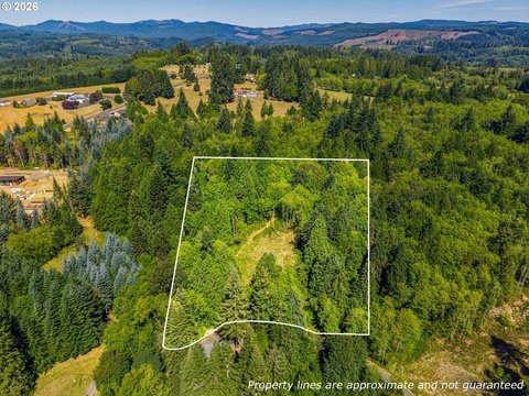Land, Longview, WA