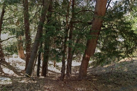 Small Specialty Land Parcel