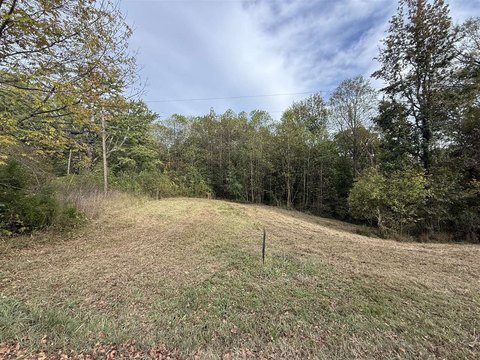 LAND - Morgantown, KY