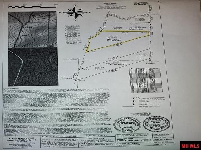 Picture 9