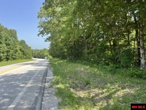 Ozark Land Near Bull Shoals