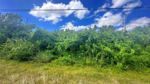 Commercial Land in Cape Coral