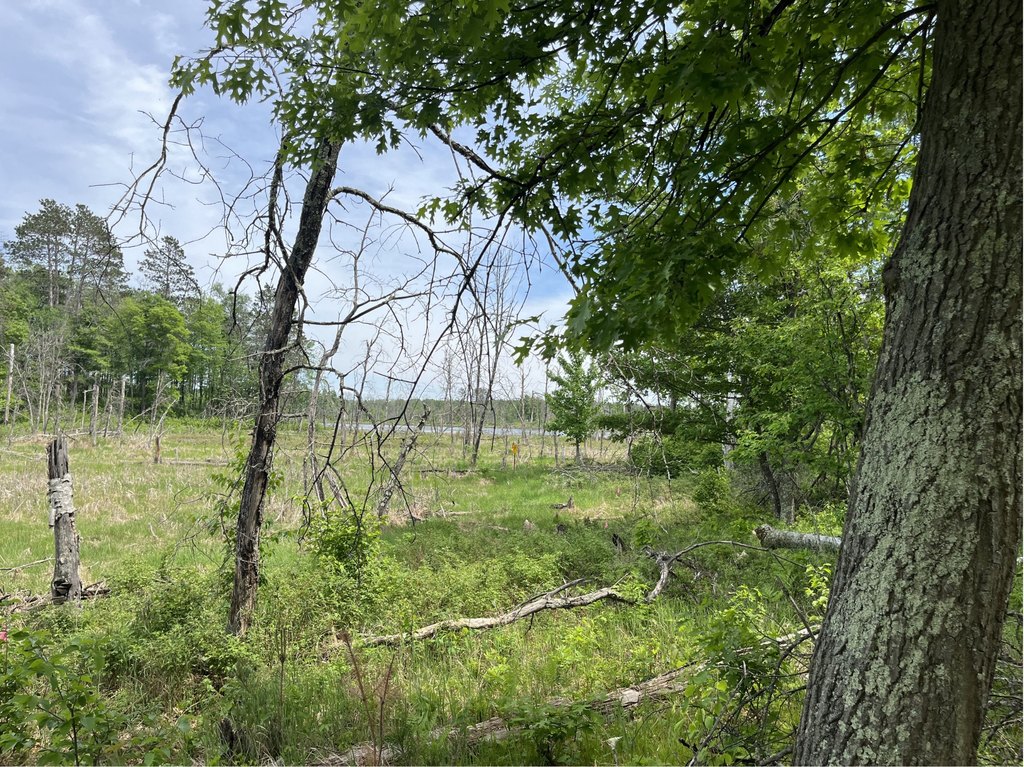 Picture 26