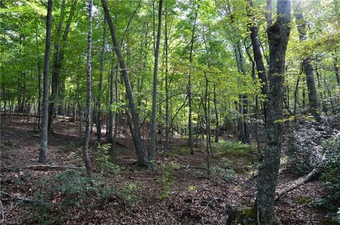 LAND - Danbury, NC