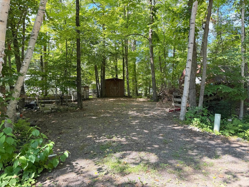 Picture 19