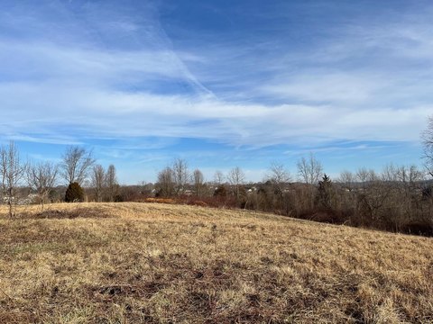 Residential Land in Gray, TN