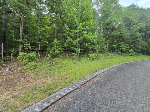 LAND - Dunlap, TN
