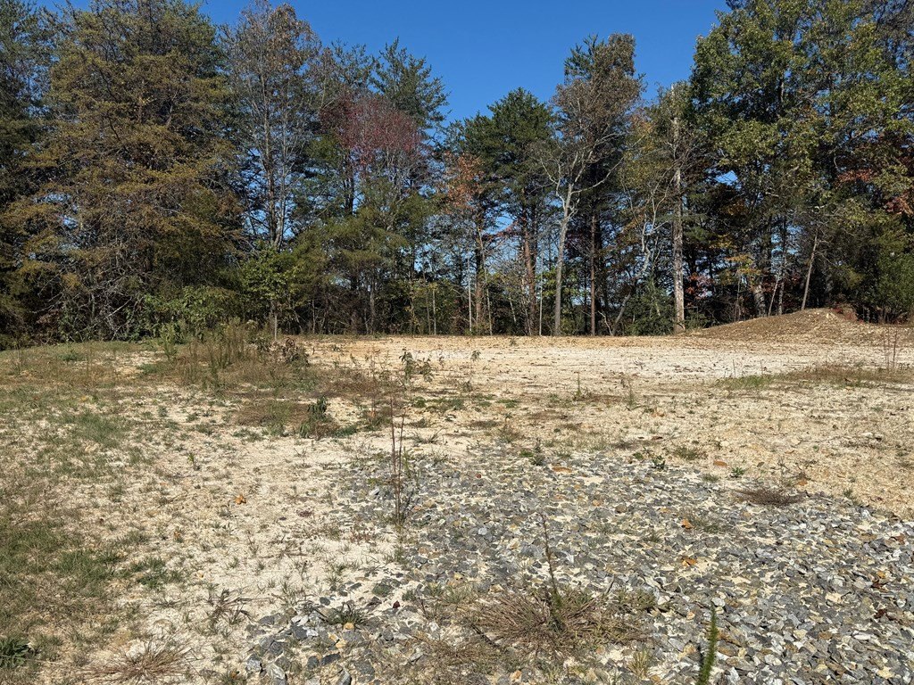 Picture 10