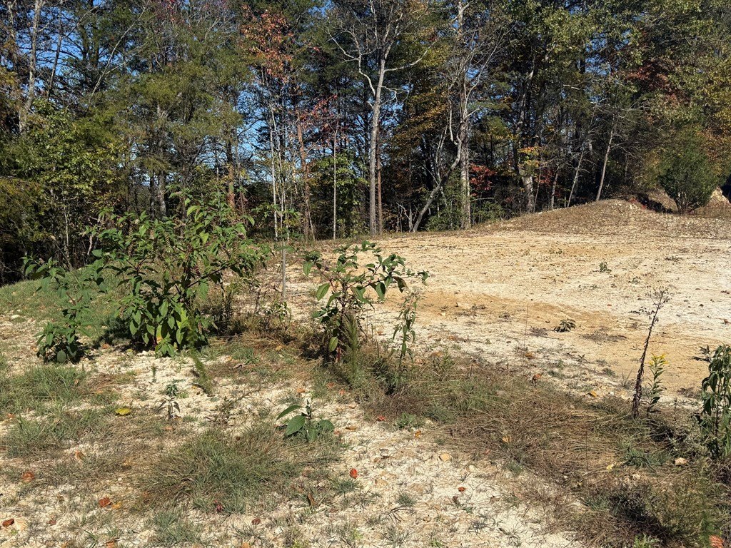 Picture 6