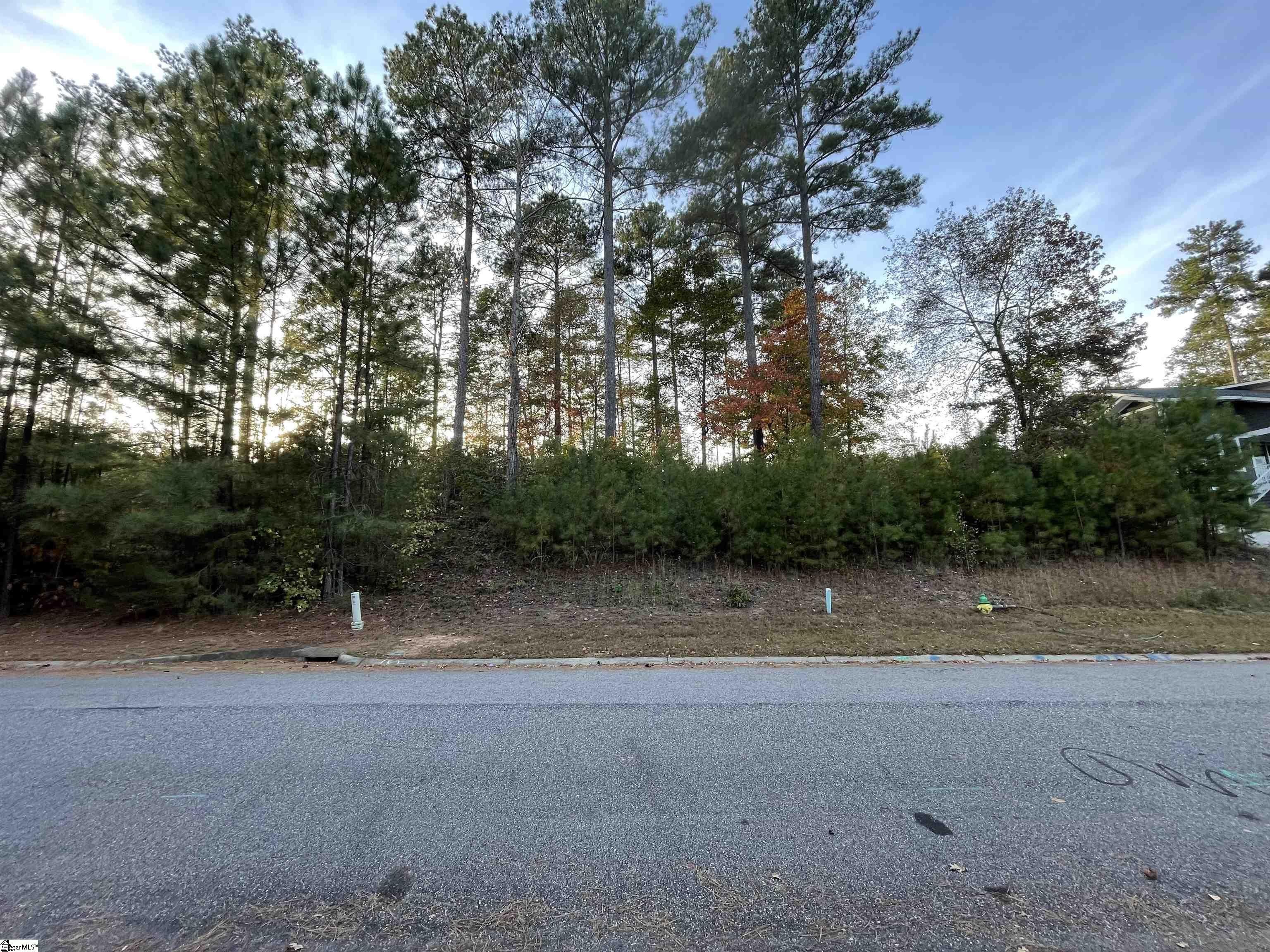 Residential Land in Travelers Rest