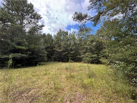 Vacant Land, Bogalusa, LA