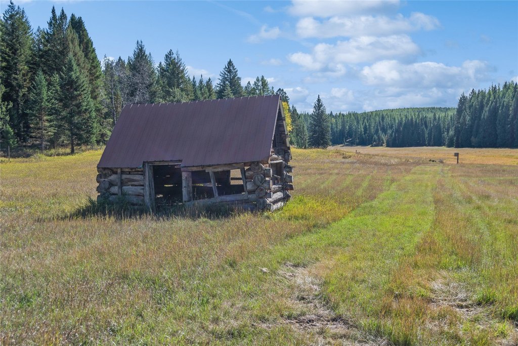 Picture 23