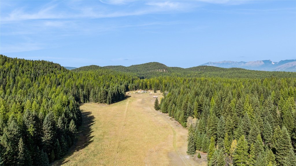 Picture 30