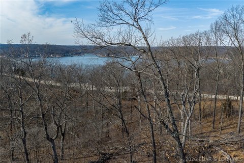Lake View Acreage with Dock