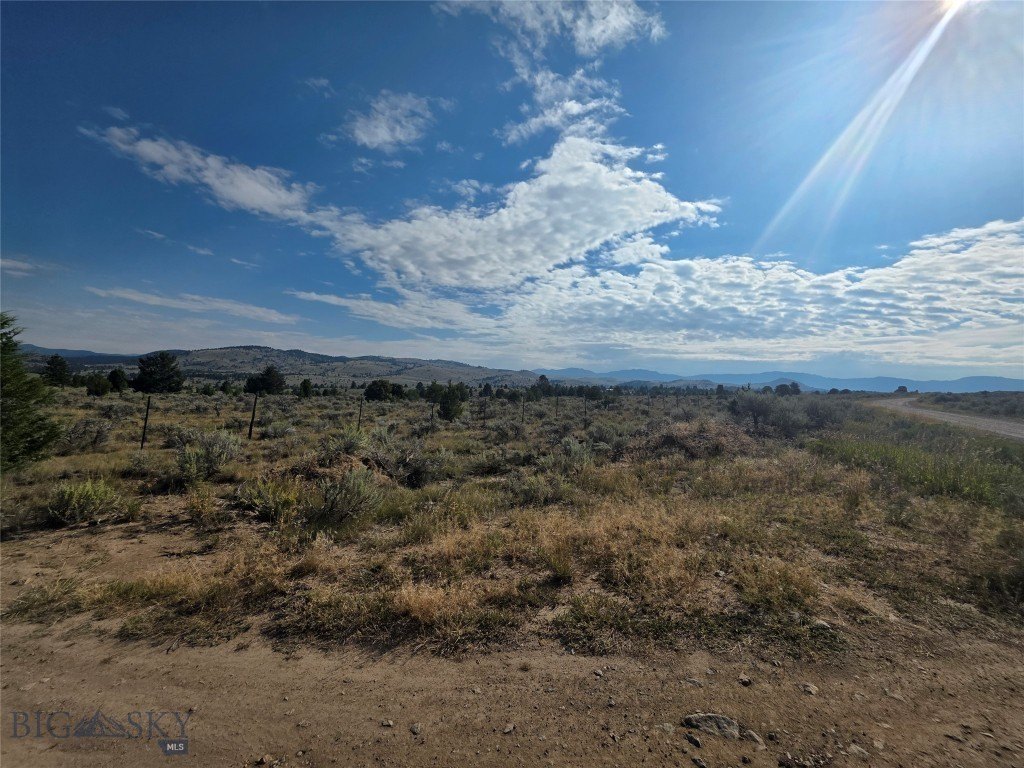 Picture 24