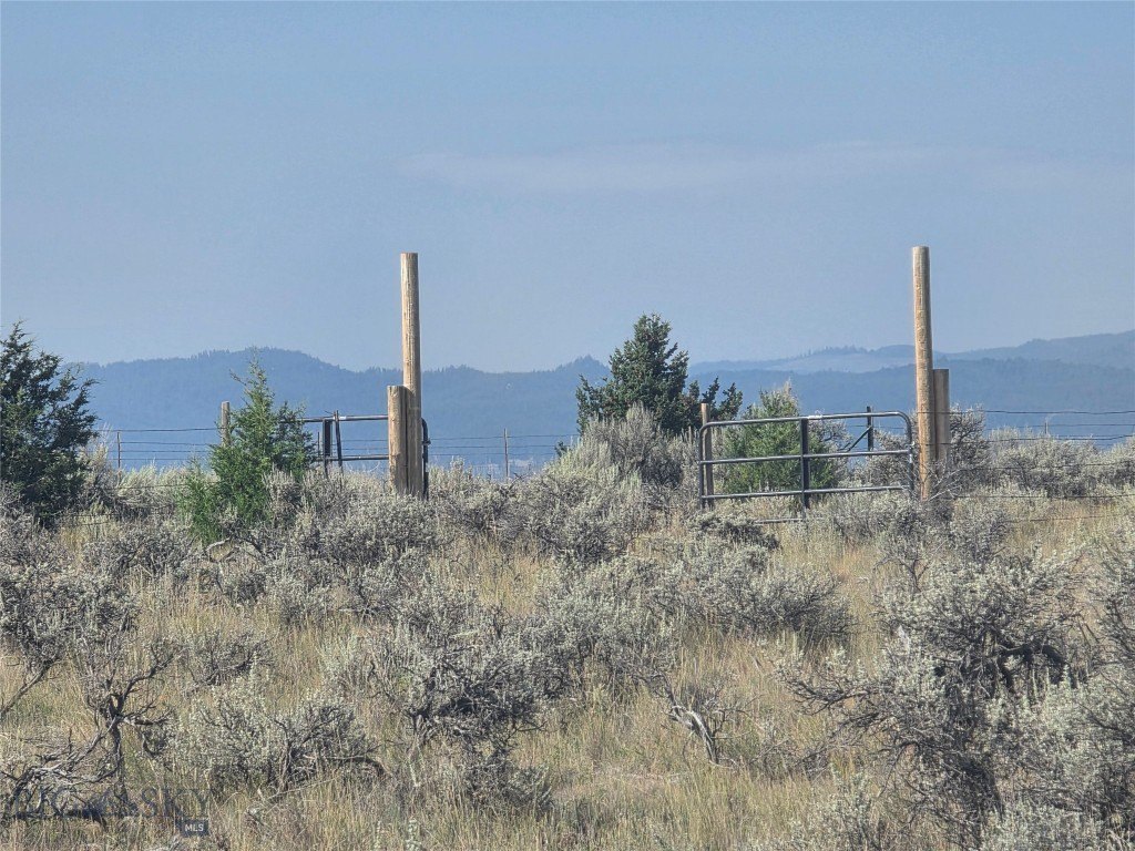 Picture 13