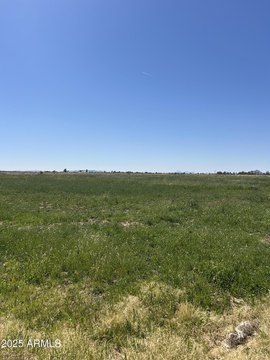 Coolidge, AZ Irrigated Land