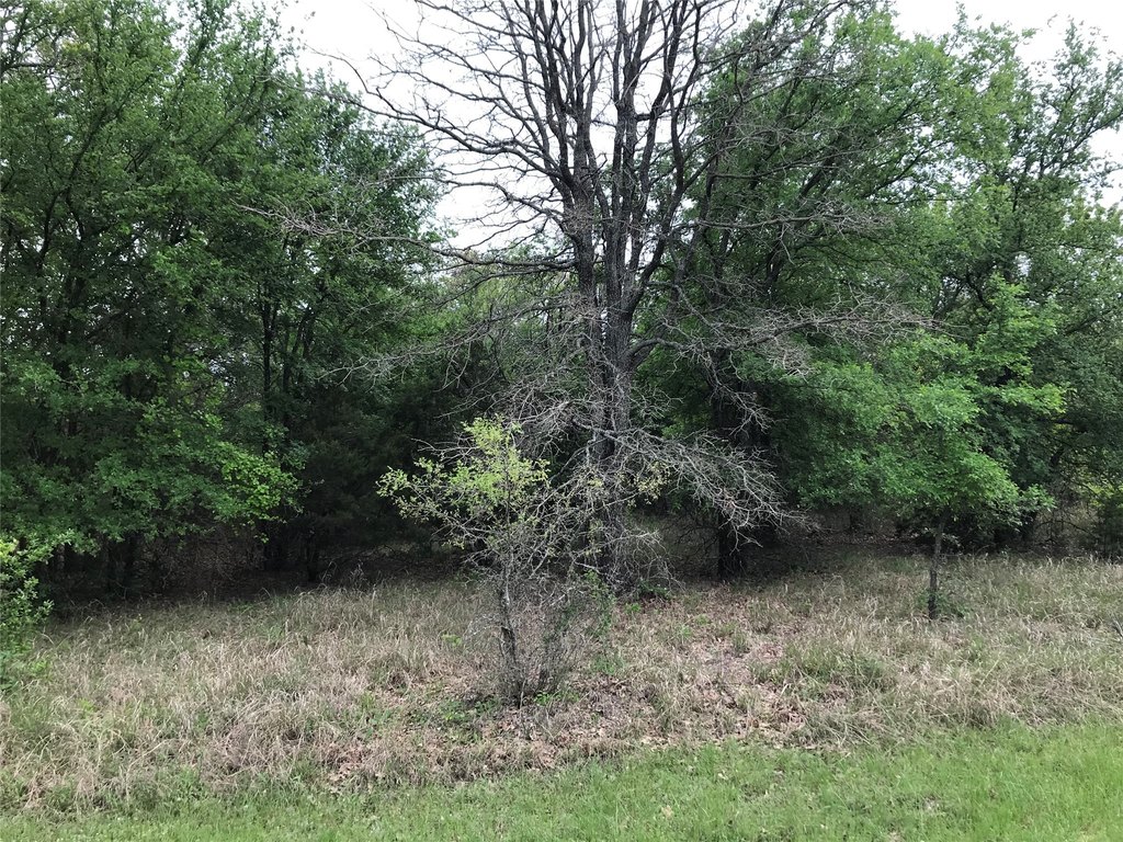 Picture 3