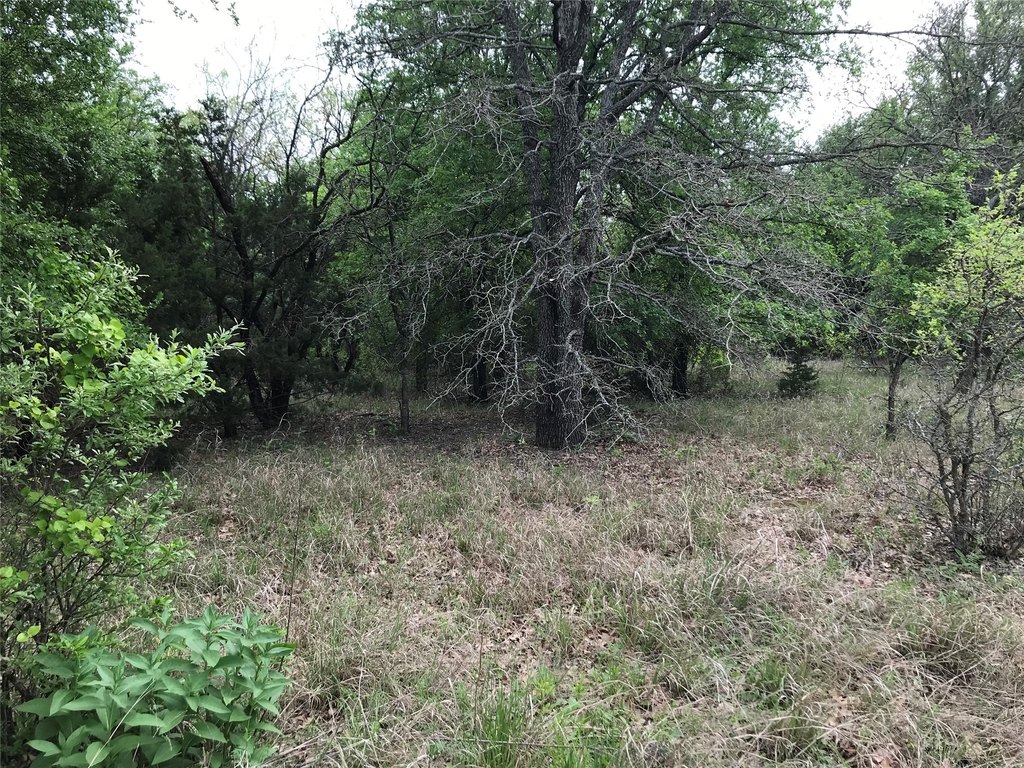 Picture 8