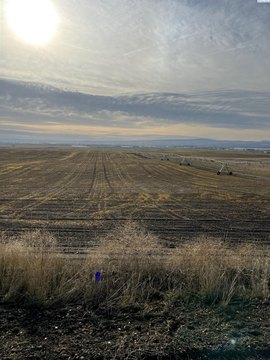 Pasco Land with Water Rights