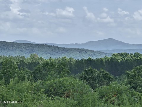 LAND - Sunbright, TN