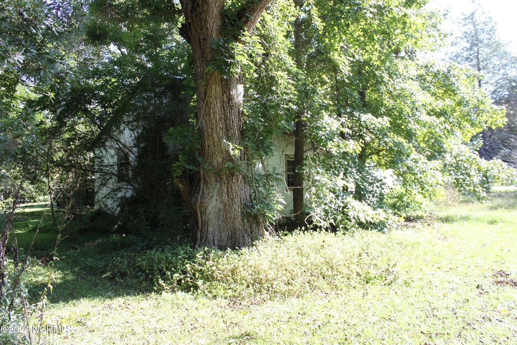 Picture 24